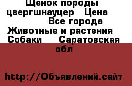 Щенок породы  цвергшнауцер › Цена ­ 30 000 - Все города Животные и растения » Собаки   . Саратовская обл.
